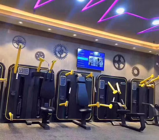 New Product Multi Function Dual Cable Cross Fitness Equipment (Dual Cable Cross)